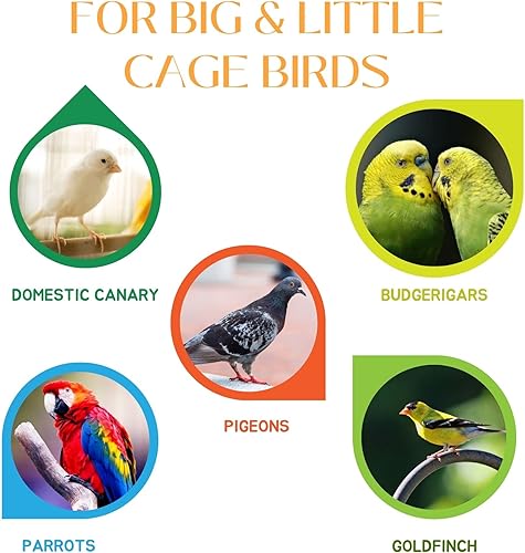 Miniatura 4 de VHD MyBird Performance E & D3 para la cría de aves jaulas - para periquitos, canarios domésticos, loros, jilgueros y palomas, pájaros jaulas grandes