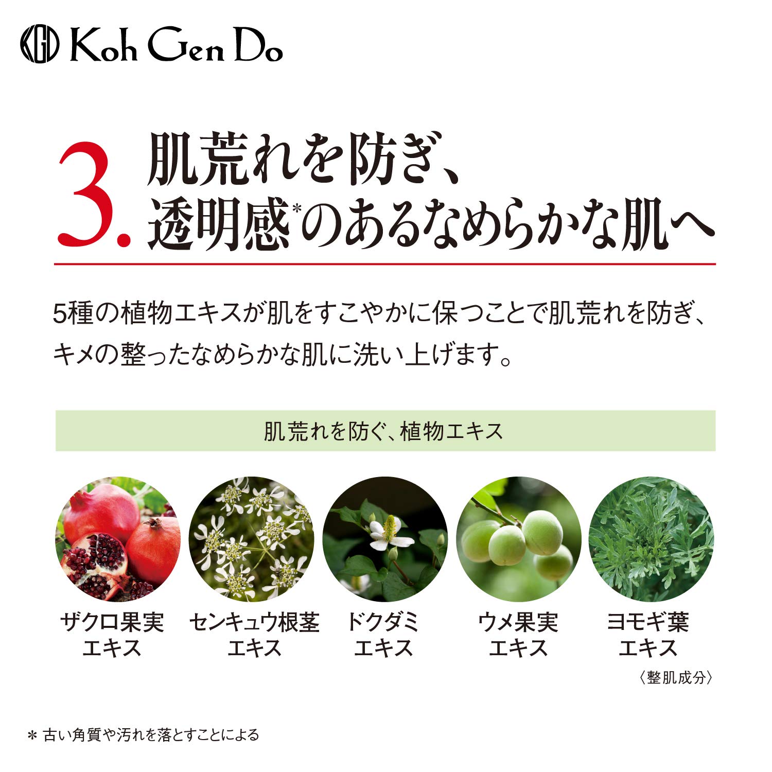 Amazon | コウゲンドウ(Koh Gen Do) 江原道 オリエンタルプランツ