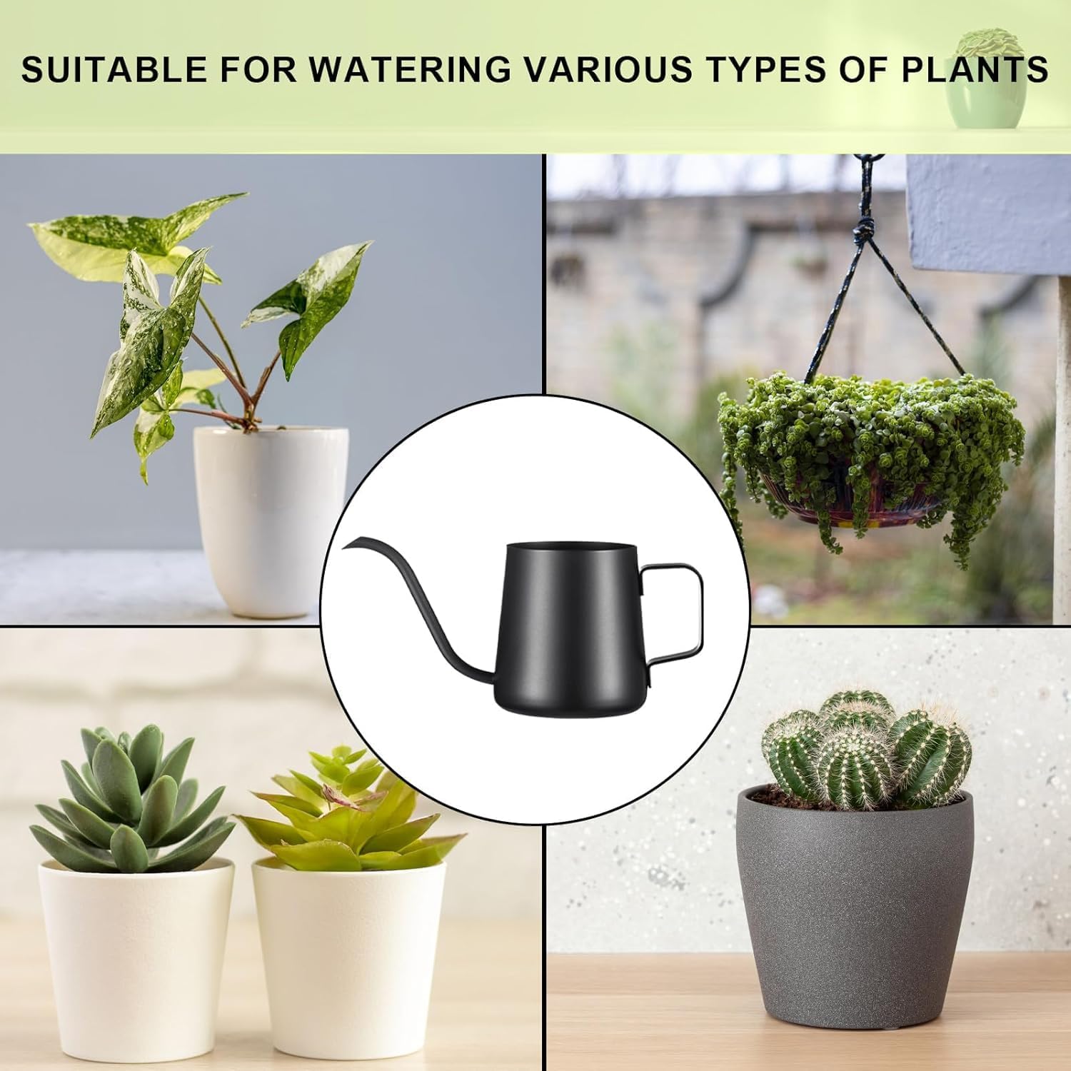 12 oz / 350 ml Watering Can Indoor Plants, Stainless Steel Plant Watering Can with Long Spout (Black) (12oz) - Image 3