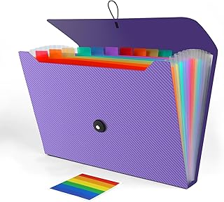 Accordion File Organizer, Expanding File Folder for Sorting Documents and Papers, 13 Pockets File