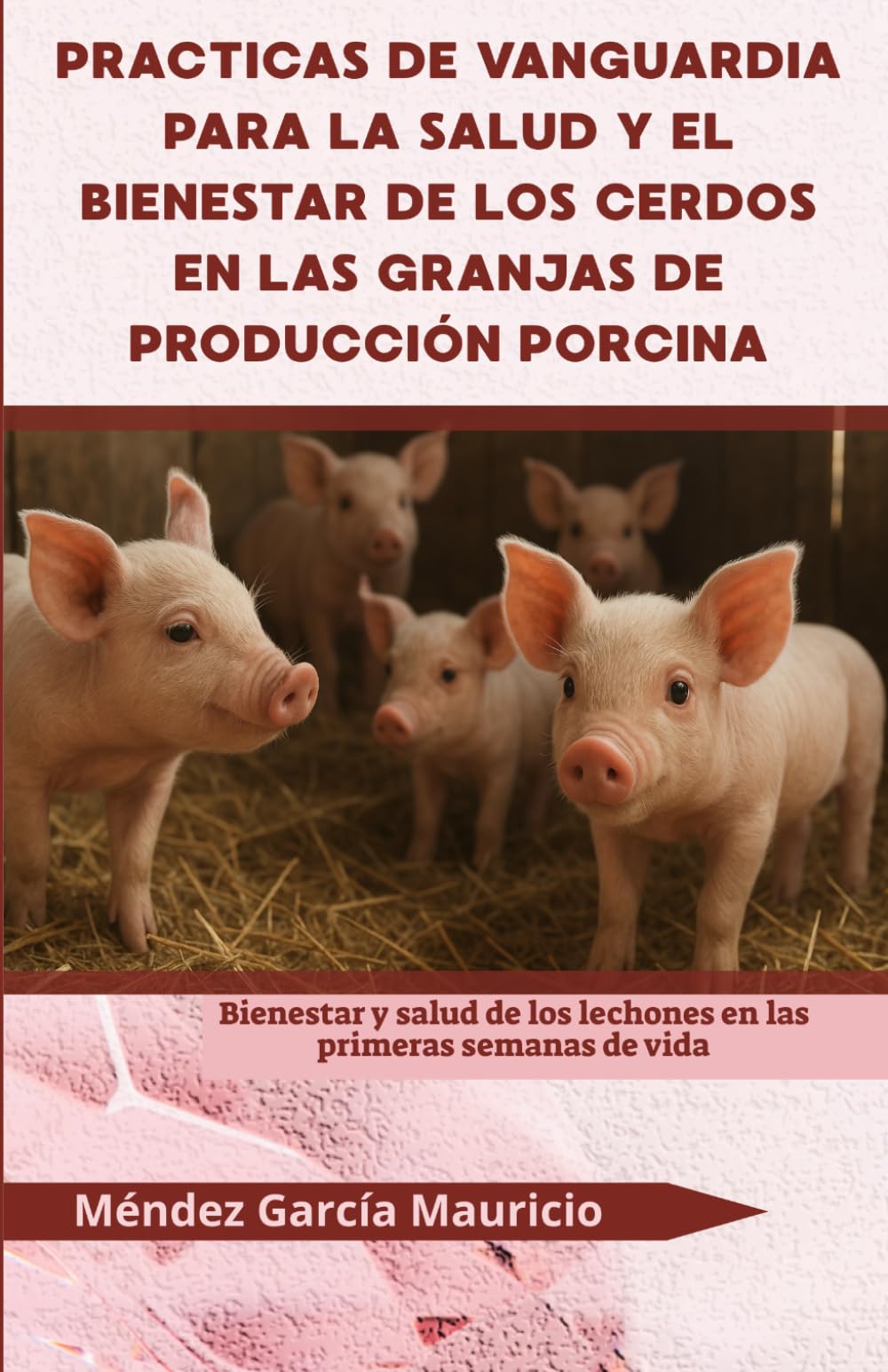 Prácticas de vanguardia para la salud y el bienestar de los cerdos en las granjas de producción porcina: Bienestar y salud de los lechones en las primeras semanas de vida