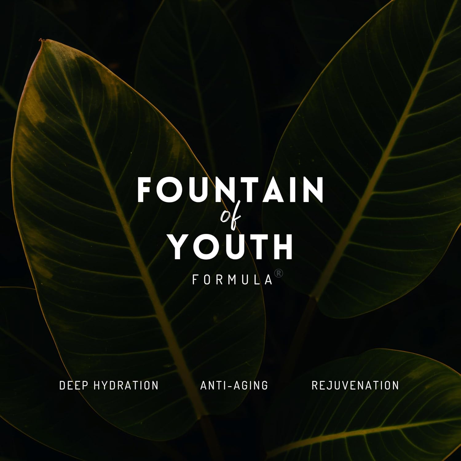 SOL LABS Mineral Sunscreen SPF 30 Face & Body - Lightweight, Hydrating Daily Moisturizer - No White Cast - Anti-Aging Formula with Niacinamide, Zinc Oxide - Reef Safe Korean Skin Care - 4oz - Image 6