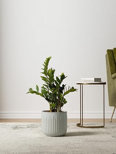 Miniatura 4 de LE TAUCI Macetas de cerámica estriada para plantas, macetas de interior de 8.376 pulgadas con agujeros de drenaje y malla, moderna maceta cilíndrica