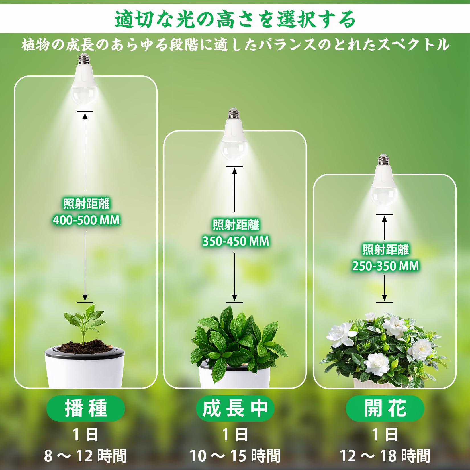 Amazon.co.jp: 植物LEDライト E26口金 15W 100W相当 植物成長 温白色