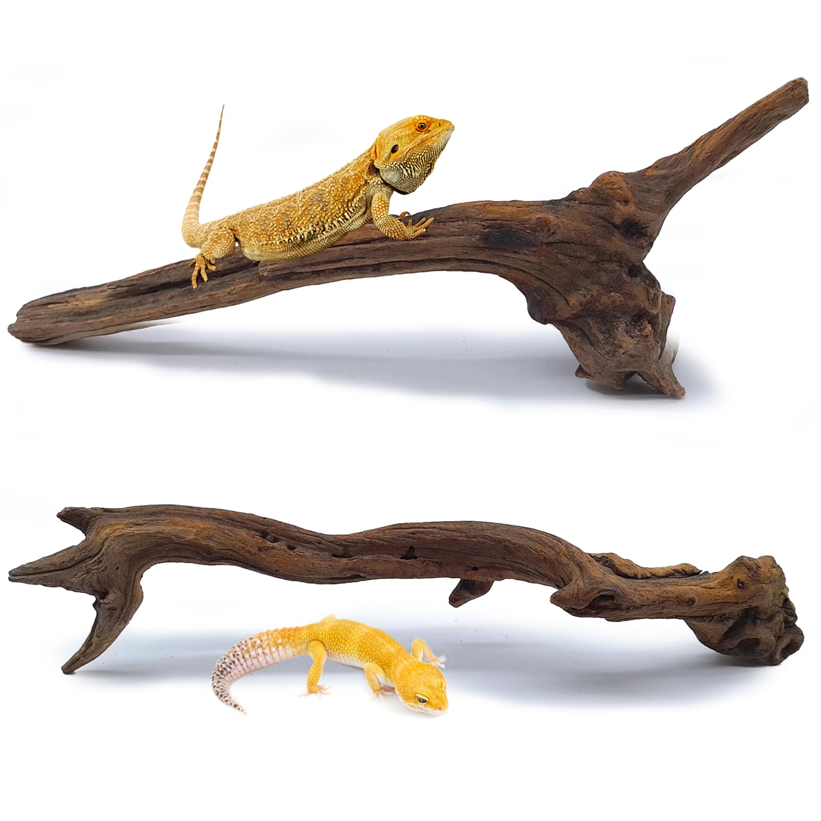 BNOSDM 2PCS Snake Climbing Branches,Reptile Natural Coral Driftwood Branches Decor,Lizard Habitat Decoration Accessories, Terrarium Tree Trunk