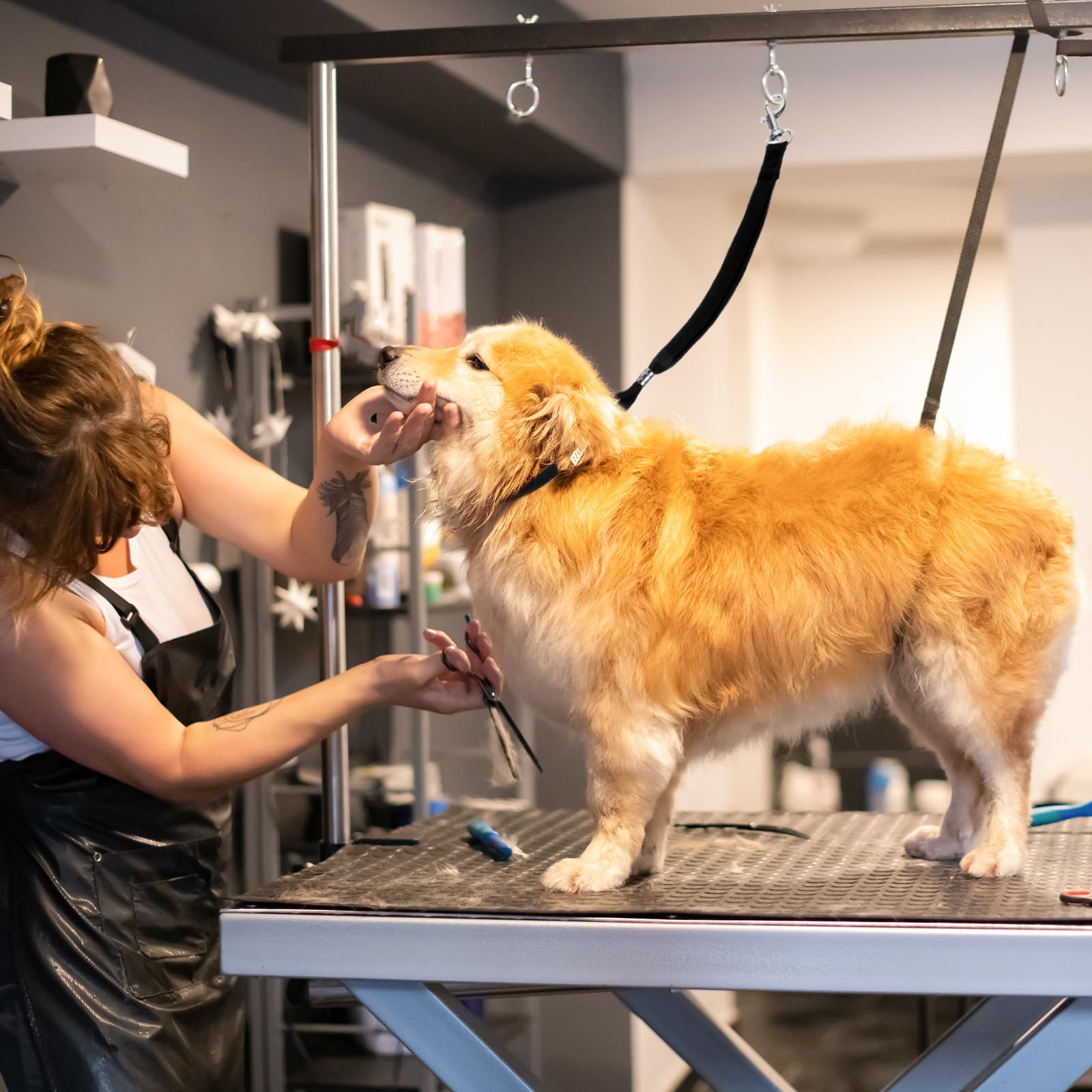 Guinzaglio Regolabile Per Toelettatura Cani E Gatti – 3 Pezzi, Con Fibbia Girevole 360°, Per Bagno E Cura