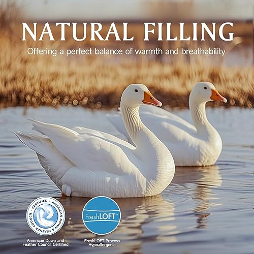 Miniatura 8 de Beautyrest Luxury Goose Down Fiber Comforters Queen Size, Hotel Collection All Seasons Duvet Insert, 100% Cotton, Extra Fluffy Breathable White