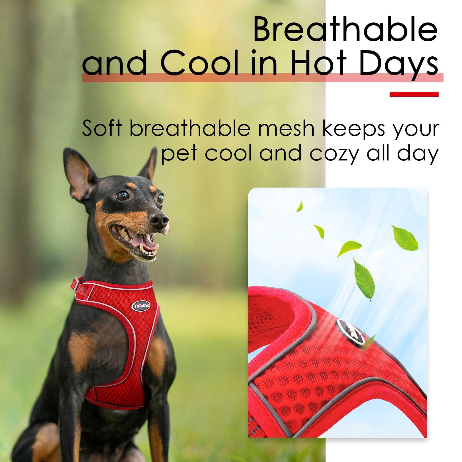 ThinkPet Reflective Breathable Soft Air Mesh No Pull Puppy Choke Free Over Head Vest Ventilation Harness for Puppy Small Medium Dogs (Red,L) — view 3