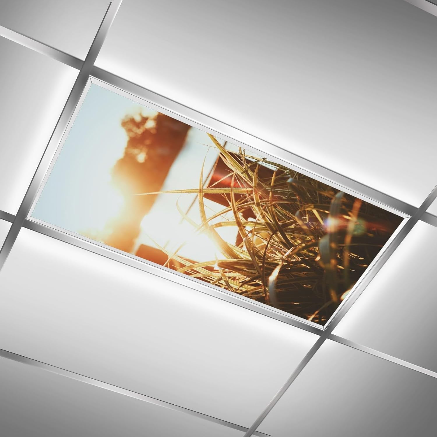 IOACIY 4 x 2 Feet Fluorescent Light Covers for Ceiling Lights Classroom Office Light Filters