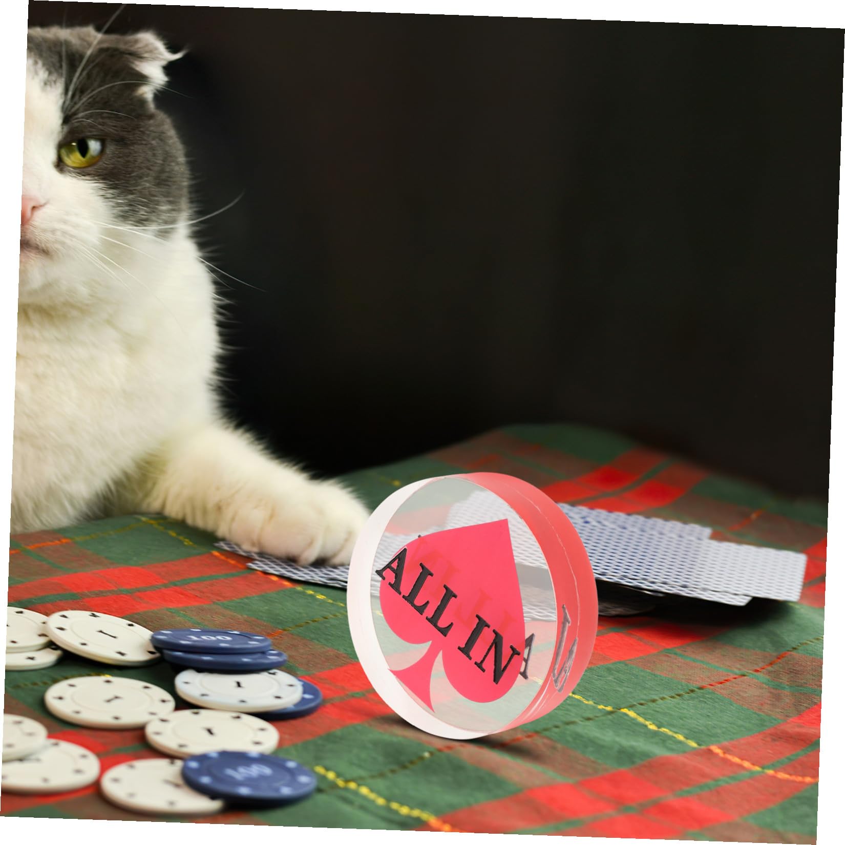 ibasenice 3pezzi Pulsante Mazziere Poker Acrilico Doppio Con Design Elegante Accessorio Per Giochi Da Tavolo Per e Serate Di Gioco Indoor Outdoor