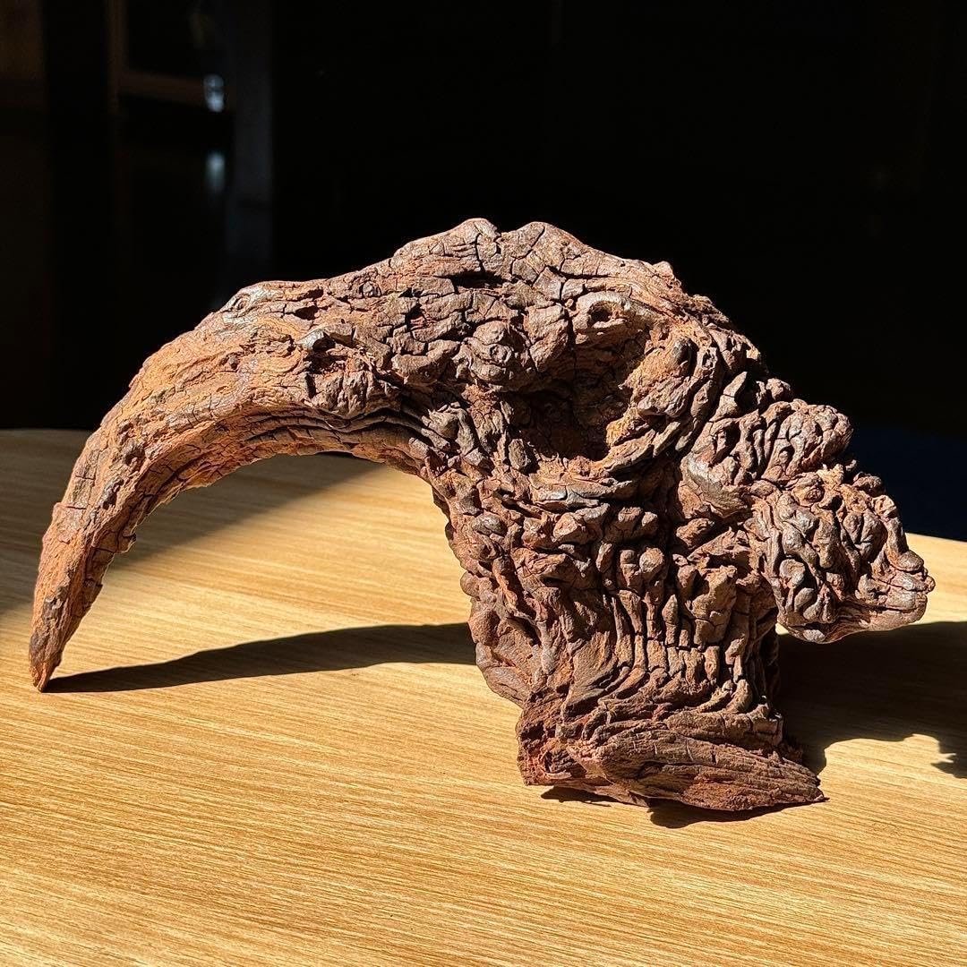 セレクト品」」MRW-6316 赤系天然流木 自立流木 1点物 アクアリウム