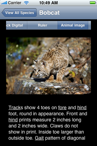 MyNature Animal Tracks