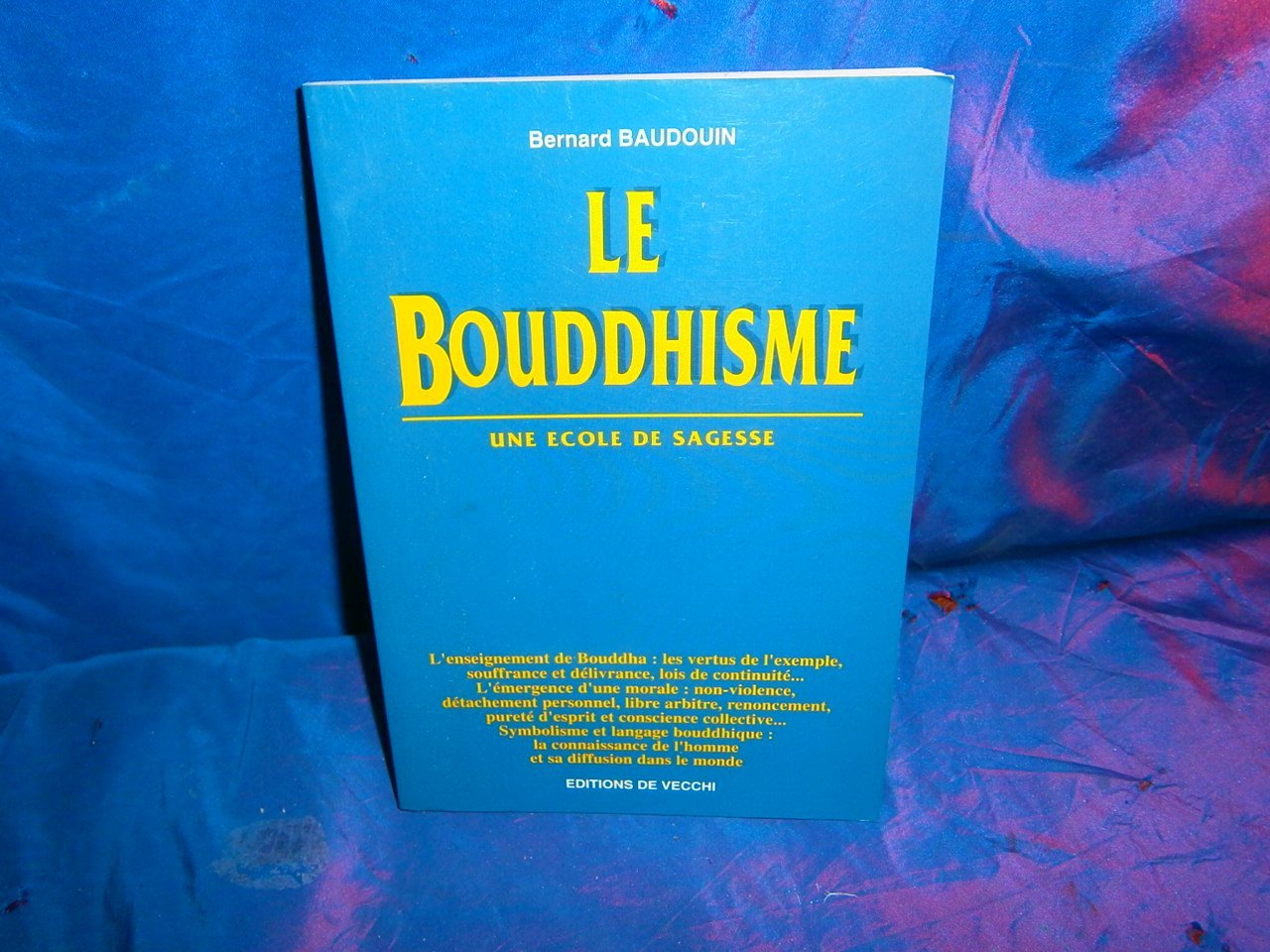 Le Bouddhisme. Une Ecole De Sagesse