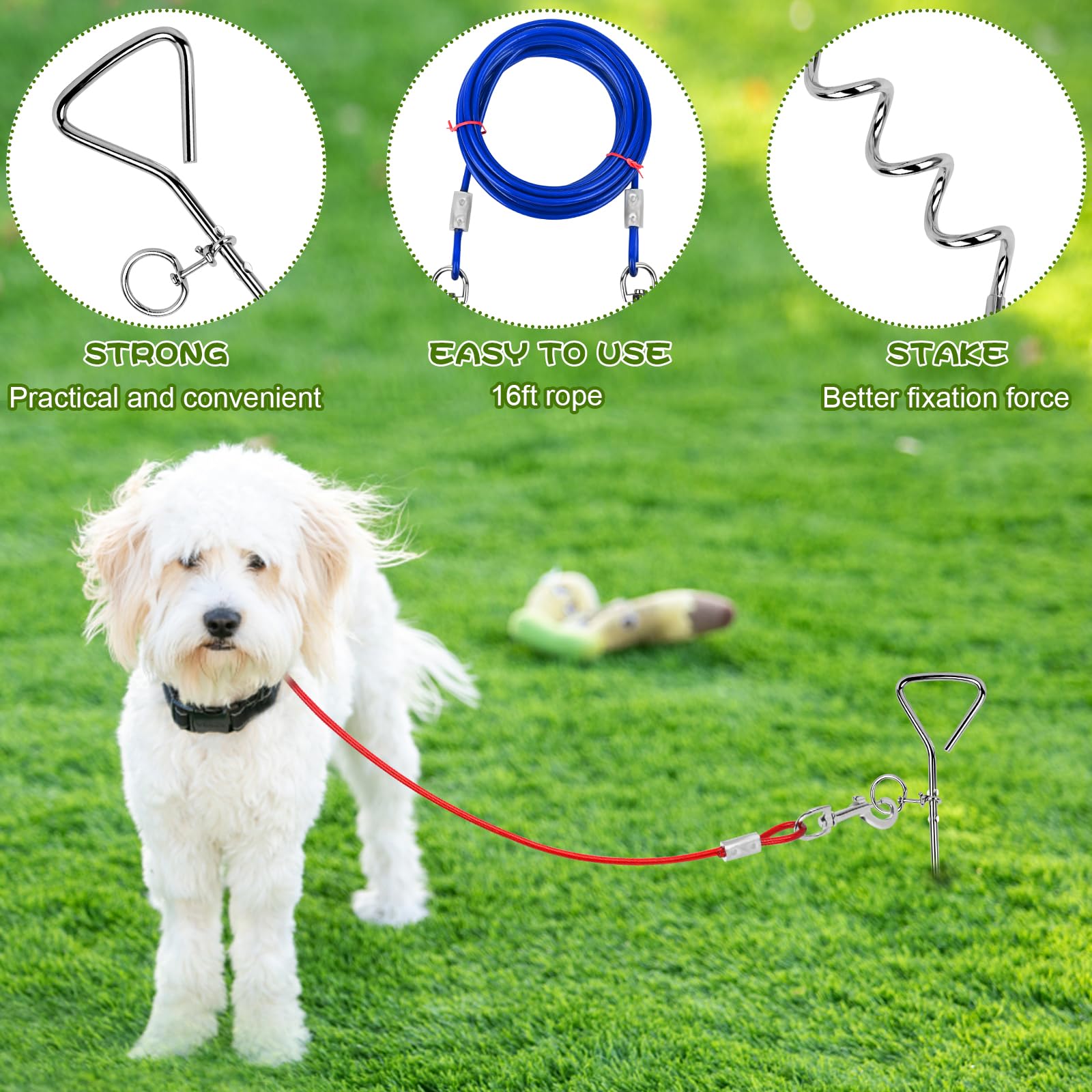 16ft Heavy Duty Dog Tie Out Stake & Cable - Outdoor Pet Safety For Yard &  Camping