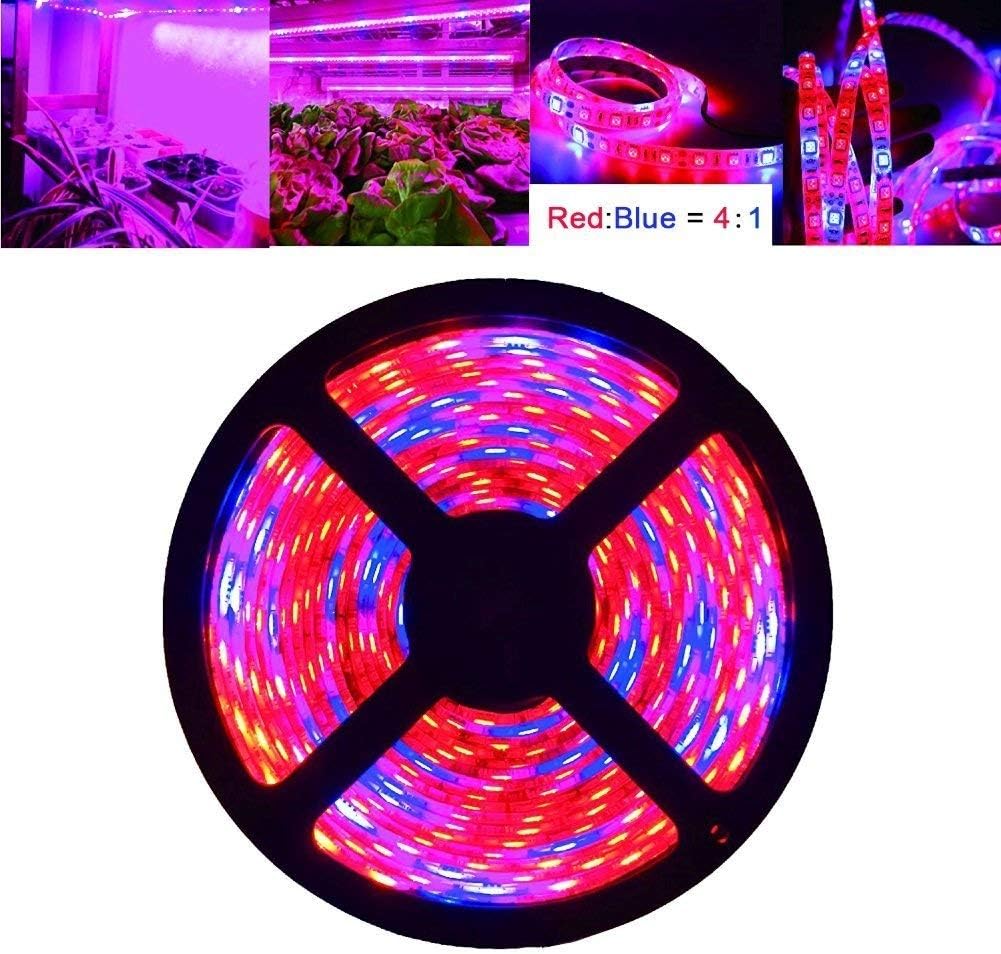 Plant Grow Lights, HILALU 16.4ft/5M LED Plant Grow Strip Light SMD 5050 Waterproof Rope Lights Red Blue 4:1 for Aquarium Greenhouse Hydroponnic Plant, Garden Flowers Veg Grow Light 12V,3/5A(Red:Blue)