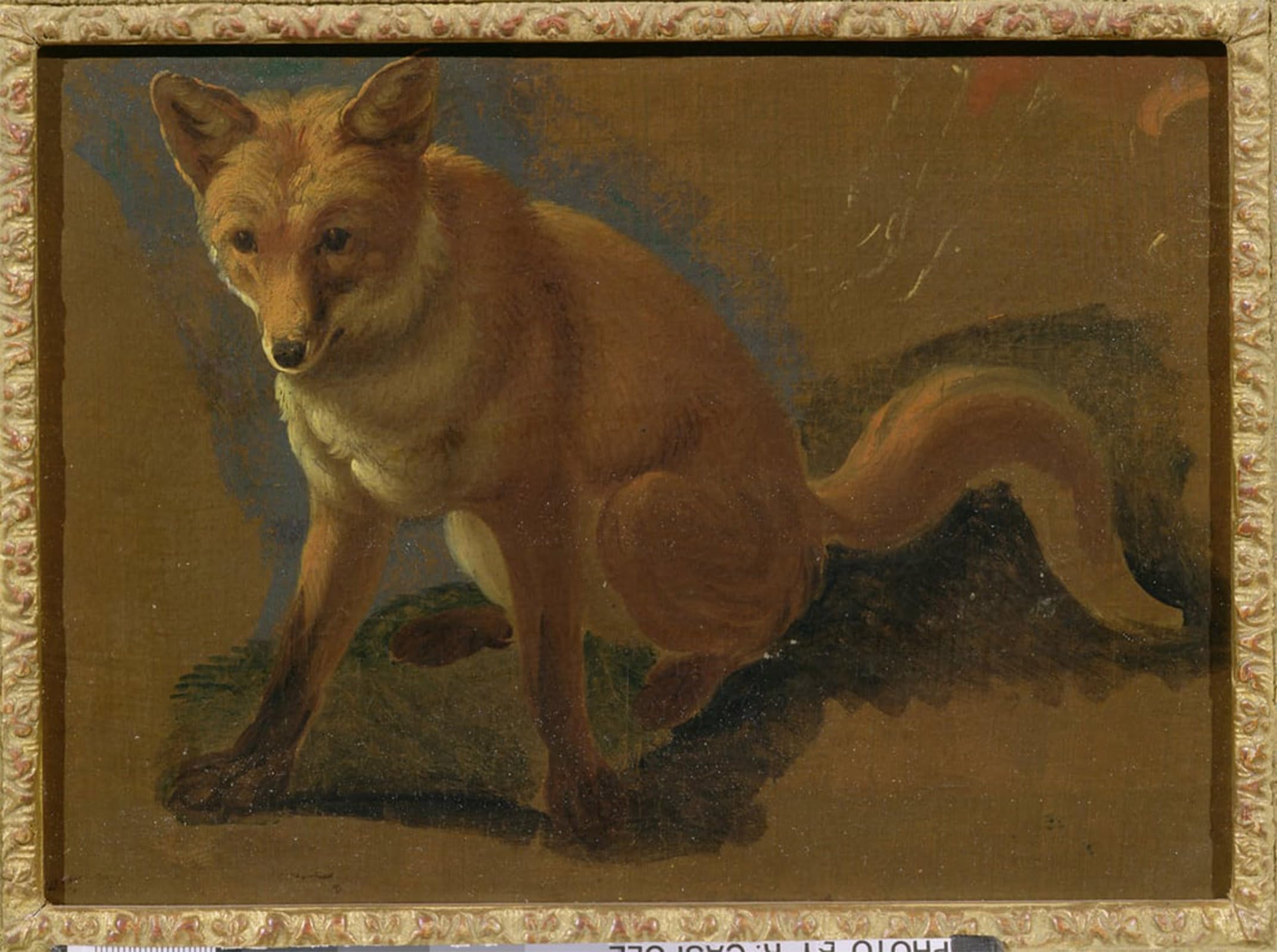 SERENDIPITP Retro Picture Poster Wall Art Pictures Painting Study of a Animal by Jacques Laurent Agasse Wall Art Canvas Print for Wall Decor 60x90cm