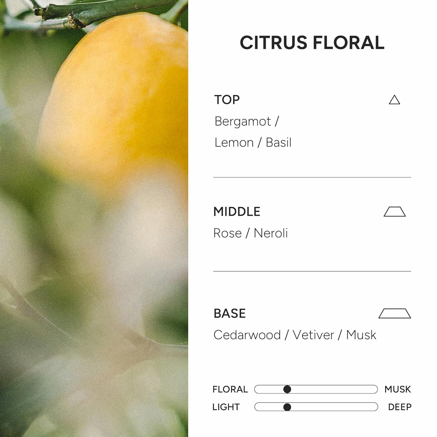 2-in-1 Korean Hair Perfume Oil & Serum with Morrocan Argan Oil & 12 Amino Acids for Dry, Damaged, Glass Hair Shine & Frizz-Control – Paraben & Alcohol-Free – Citrus Floral – 100ml / 3.38 fl oz - Image 3