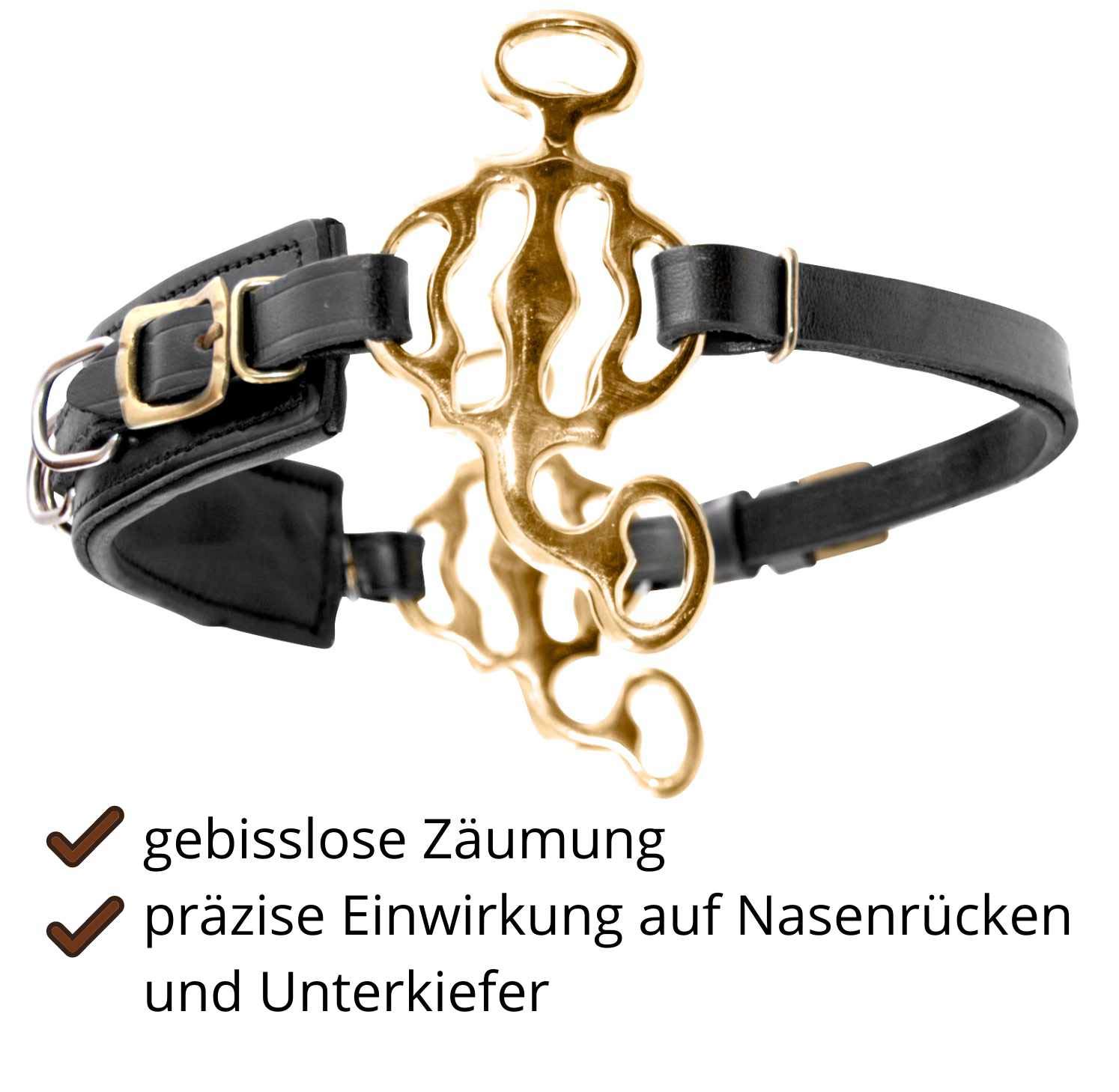 AMKA Hackamore Barock, mit 3 Ringen, Nasenriemen Leder schwarz, Anzüge goldfarben