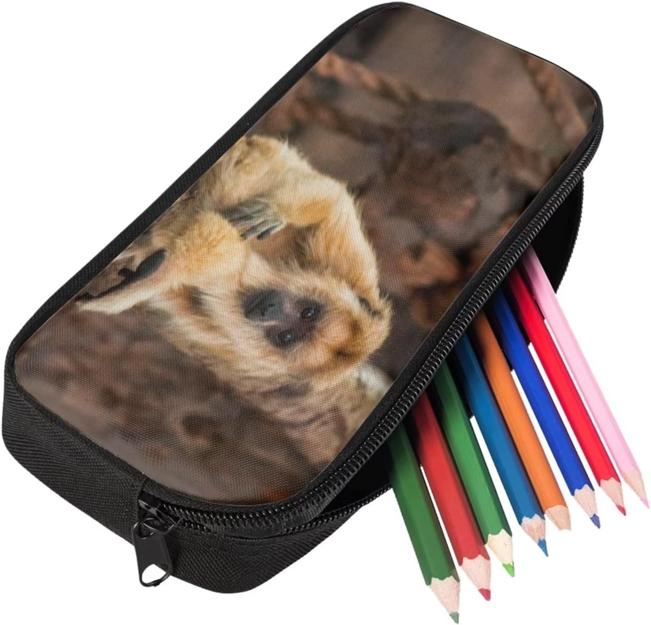 Kids Novelty Animal Backpack and Lunch Box for Boys Girls Student Lightweight 17 Inch School Howler Monkey Backpack with Lunch Bag Pencil Case Kids Comfy Padded Black Large Bookbag