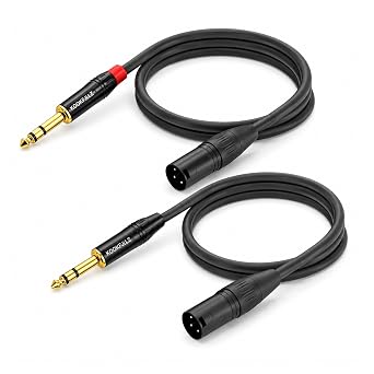 XLR to 1/4 Inch Audio Cable - Professional Microphone Cable for Mixer, Amp, Studio Equipment 2-Pack, 2 Feet