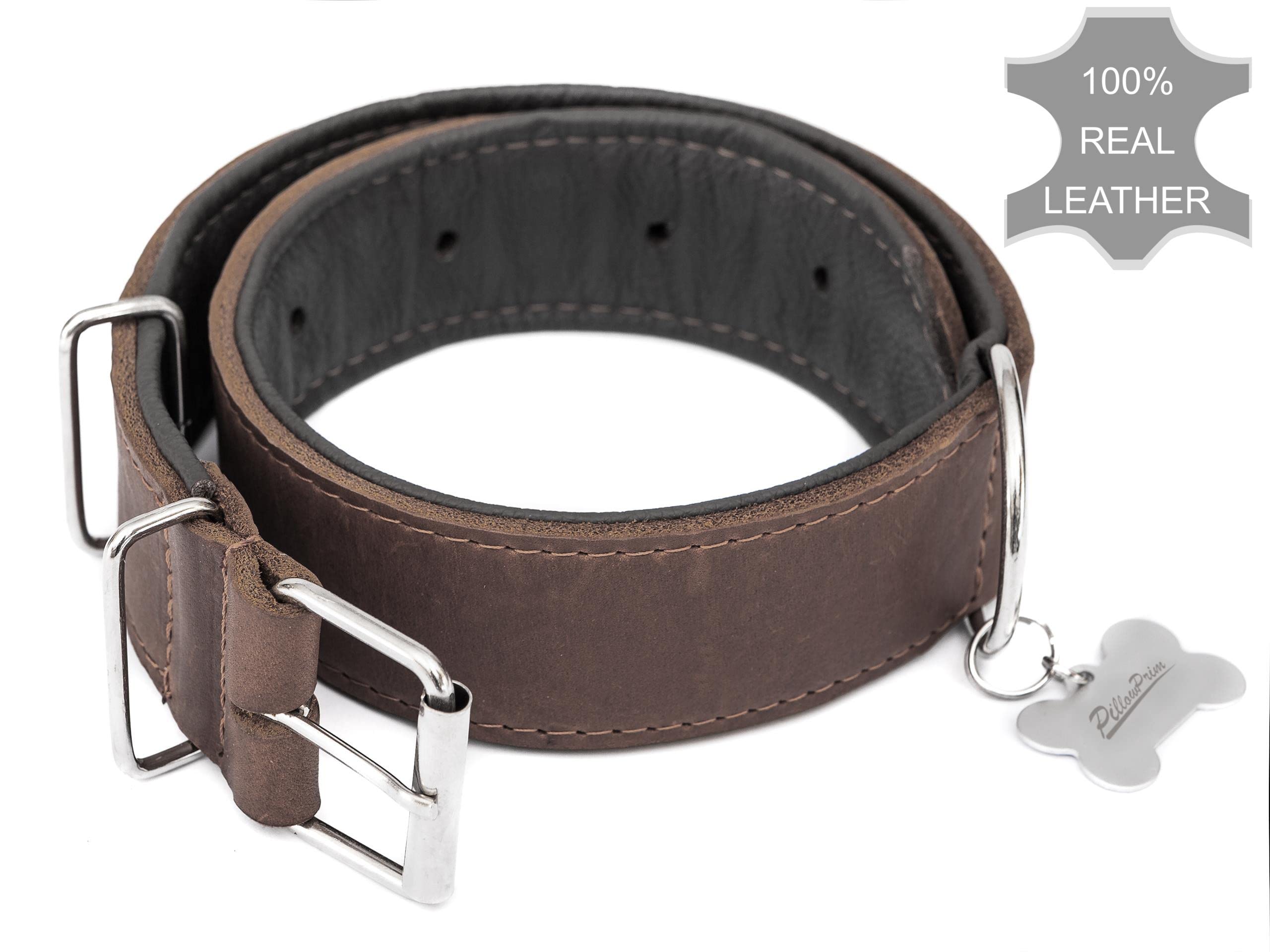 Collier pour chien en cuir avec boucle en métal Marron 65 x 4 cm