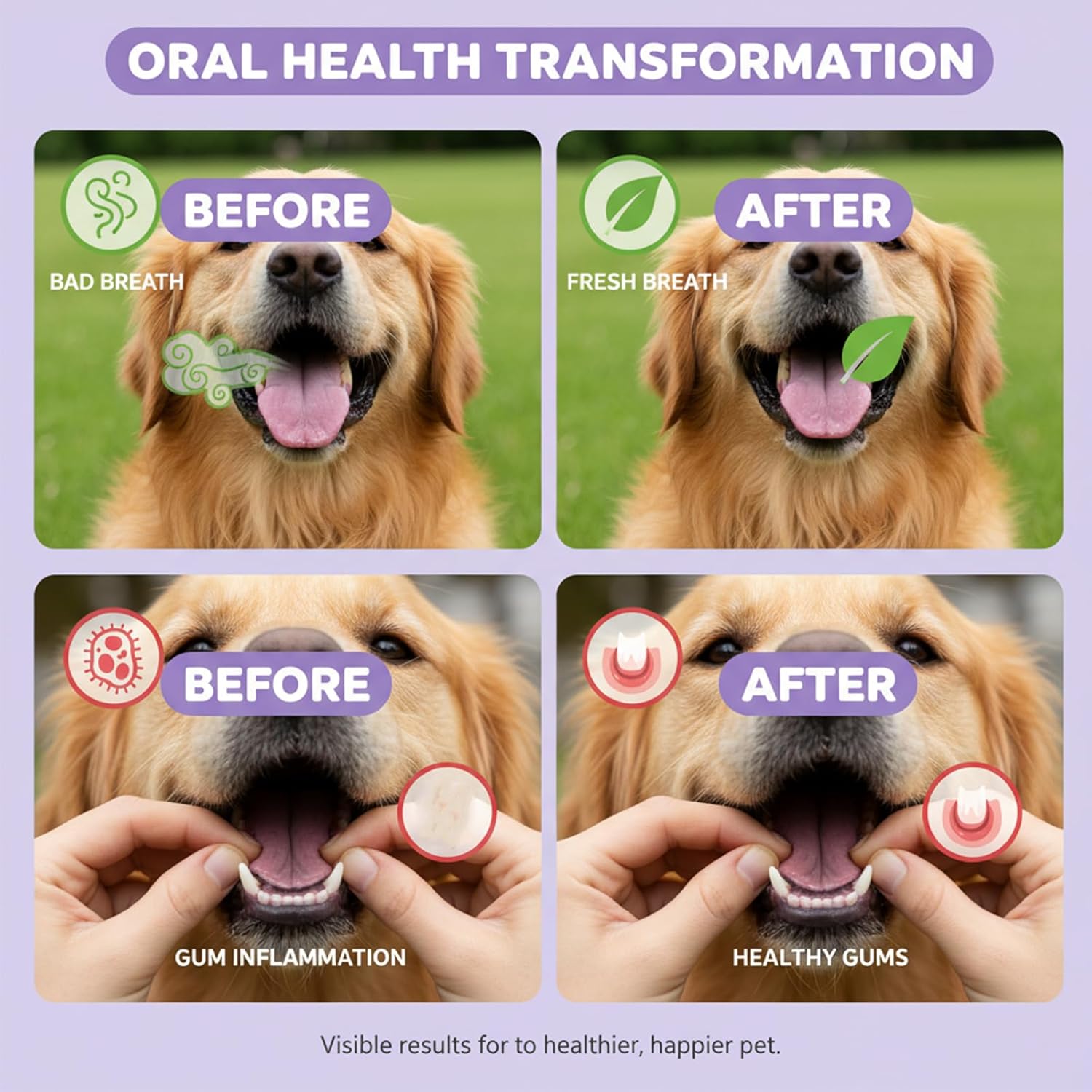 Dental Spray for Dogs, Dog Teeth Cleaning Spray for Bad Breath, Relieve Gum Redness & Discomfort, Reduce Plaque & Tartar, Dental Care for Cats and Dogs (3)