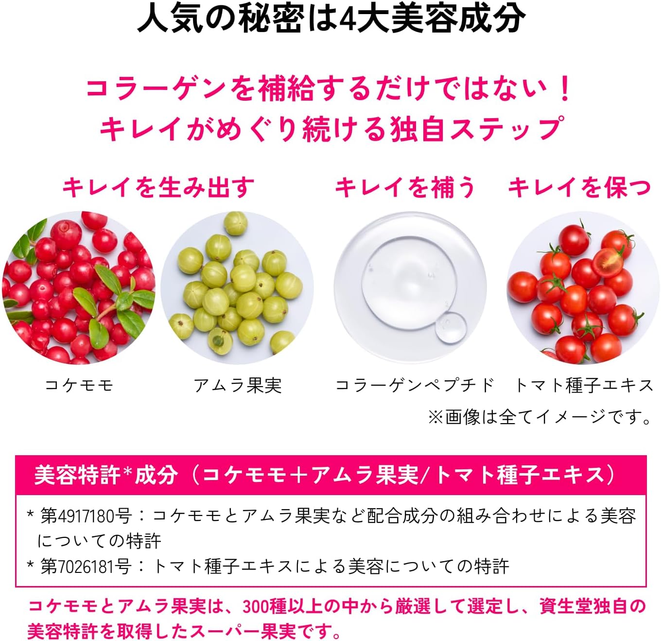 資生堂 ザ・コラーゲン