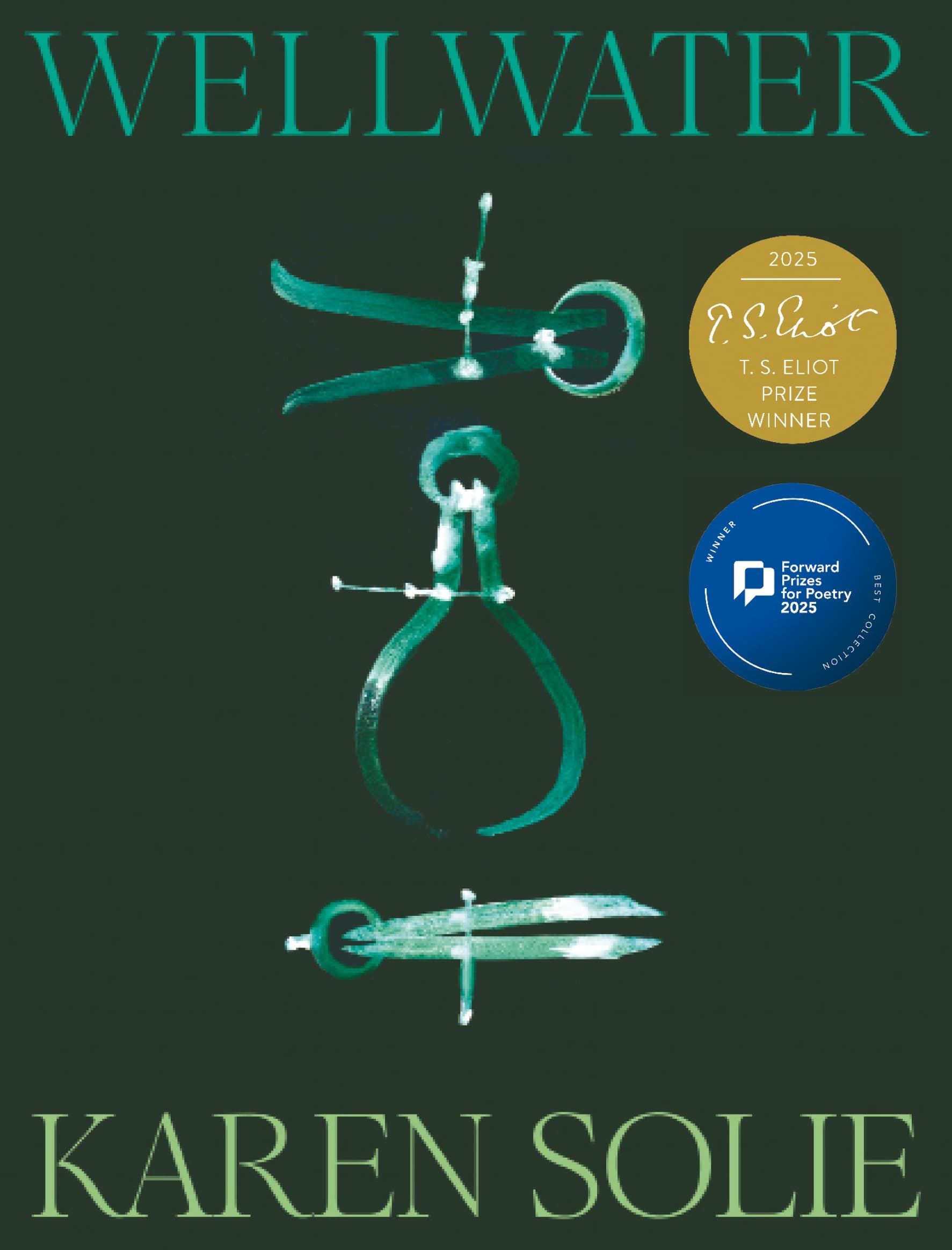 Wellwater: Winner of the T.S. Eliot Prize and the Forward Prize for Best Collection