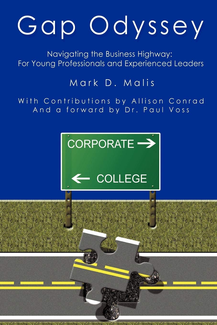 Gap Odyssey: Navigating the Business Highway: For Young Professionals and Experienced Leaders
