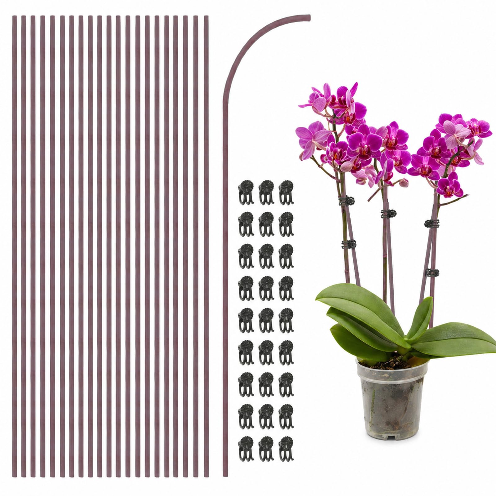 Plant Stake Clip Set, 50Pcs Iron Plant Support Stakes with 50Pcs Support Clips Garden Stakes Bendable Orchid Stakes Clips for Various Plant Pots Indoors Outdoors (Brown)