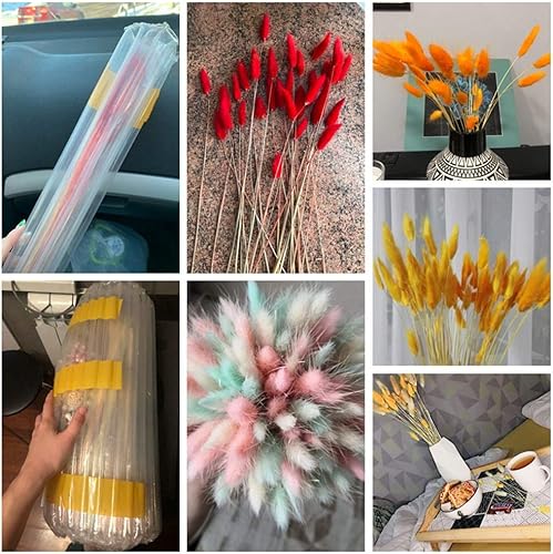 Miniatura 8 de 28 unidades de flores secas naturales de 17 pulgadas de alto, arreglos de flores secas artificiales de caña sintética para boda, jarrón de boda,