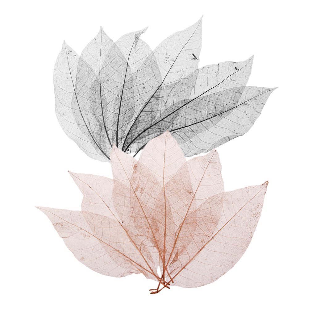 Sharplace Multicolor 100X Skeleton Leaves - Arts And Crafts Cardmaking Scrapbooking Embellishments (Black And) - 13-15Cm
