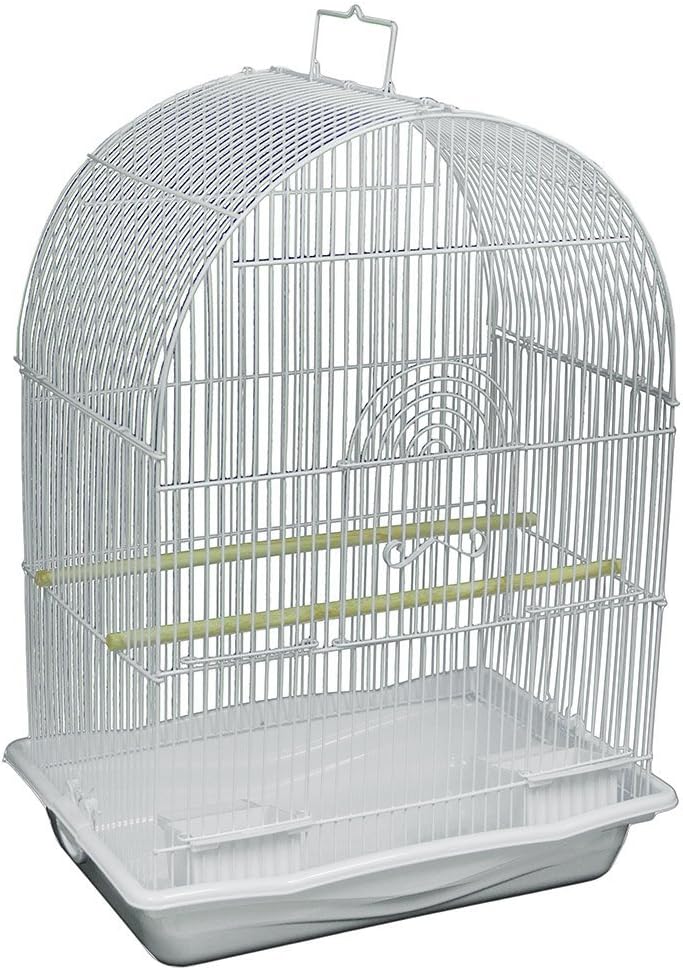Prevue Pets White Arched Top Companion Bird Cage by Prevue Pet Products : Pet Supplies