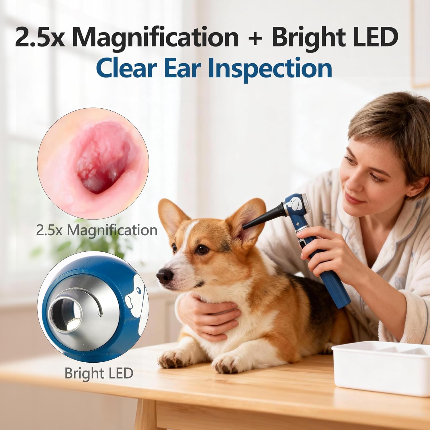 Pocket Veterinary LED Otoscope - Pet Ear Scope with Light for Dogs & Cats, 6 Disposable Tips (4/6/9mm), Portable Ear Infection Detector (Blue)