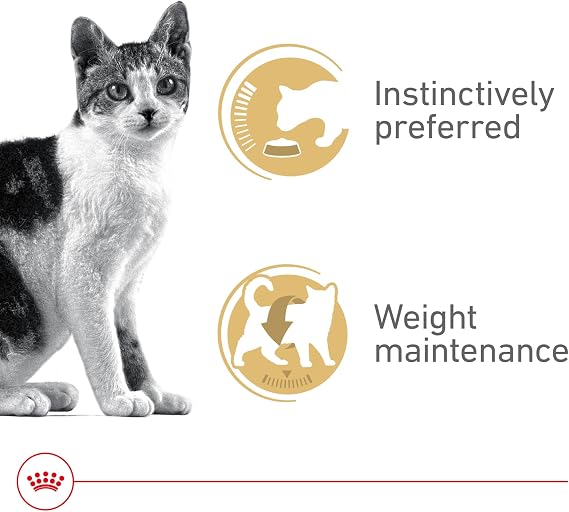 Royal Canin Feline Health Nutrition Adult Instinctive Adult Thin Slices in Gravy Cat Food, 3 oz (Pack of 24)