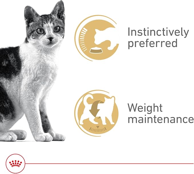 Royal Canin Gato Adulto Tiras Finas en Salsa, Pack 24 miniatura 2