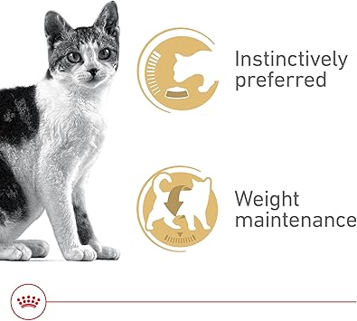 Royal Canin Feline Health Nutrition Adult Instinctive Adult Thin Slices in Gravy Cat Food, 3 oz (Pack of 24)