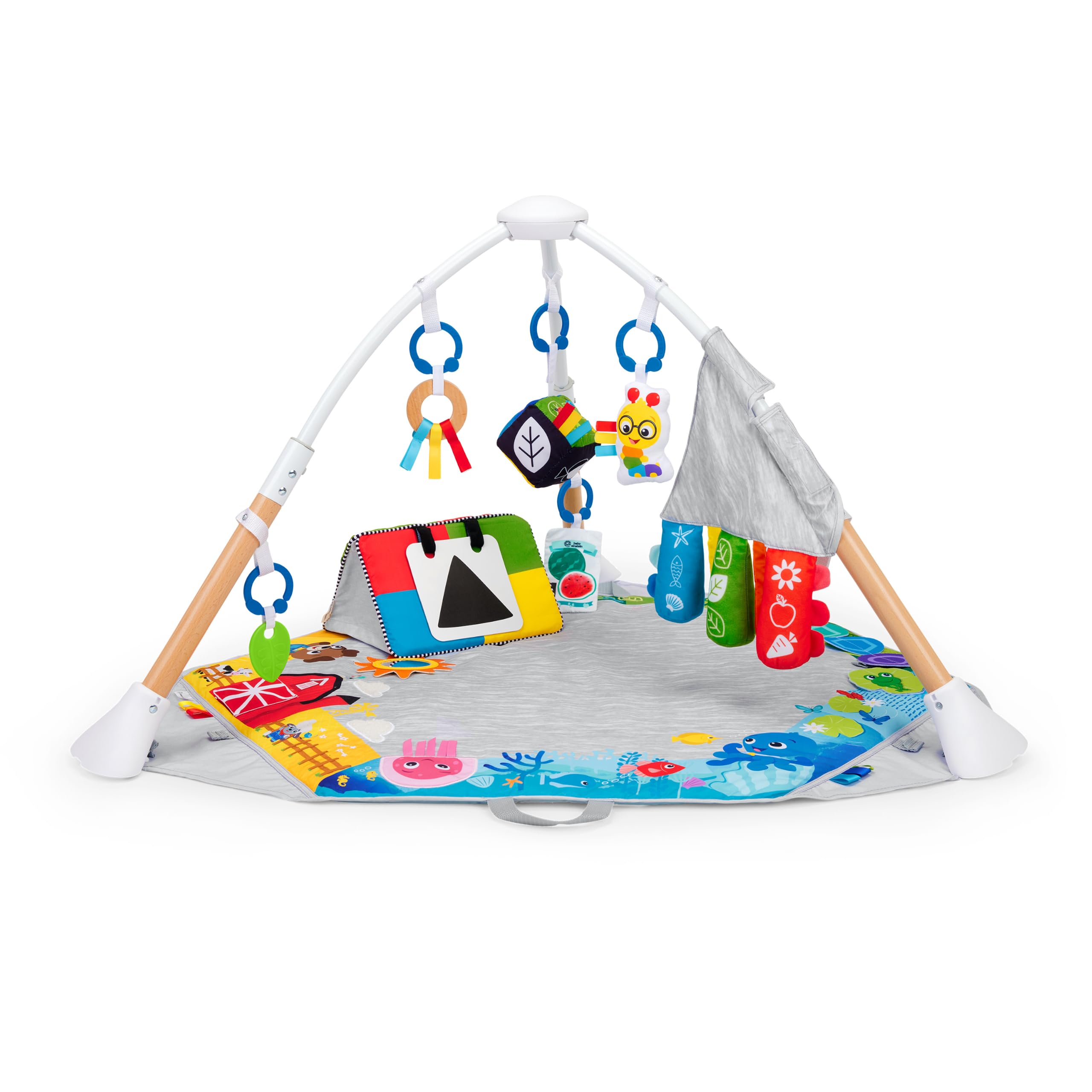 Baby Einstein Gimnasio Bebé 4 en 1 – Desarrollo Multisensorial, Carpa incluida