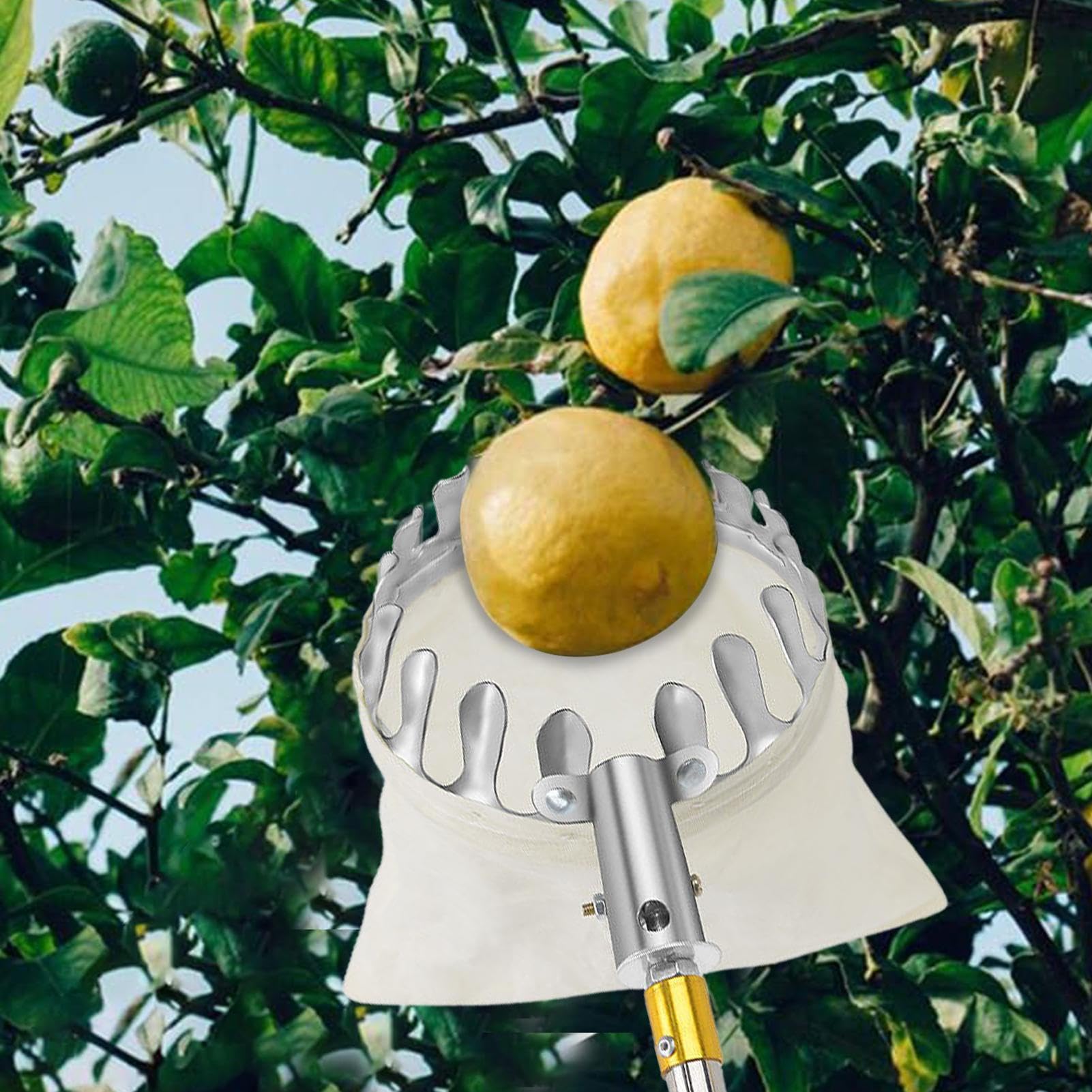 Obstpflückerkorb – Obstpflückerkopf, Obstpflücker-Werkzeuge, Edelstahl, Orangenpflücker-Werkzeug, Korb, tragbar, einfach zu bedienen, Getting, Obstfänger, Kirsche, Beere, Orange,