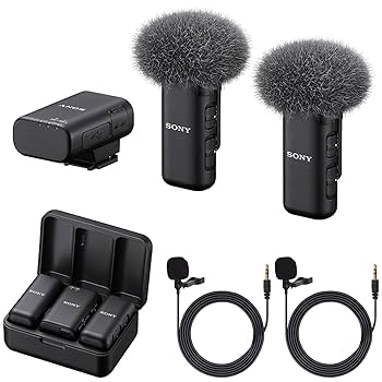 Amazon.com: Sony Dual-Channel Wireless Microphone ECM-W3 (2