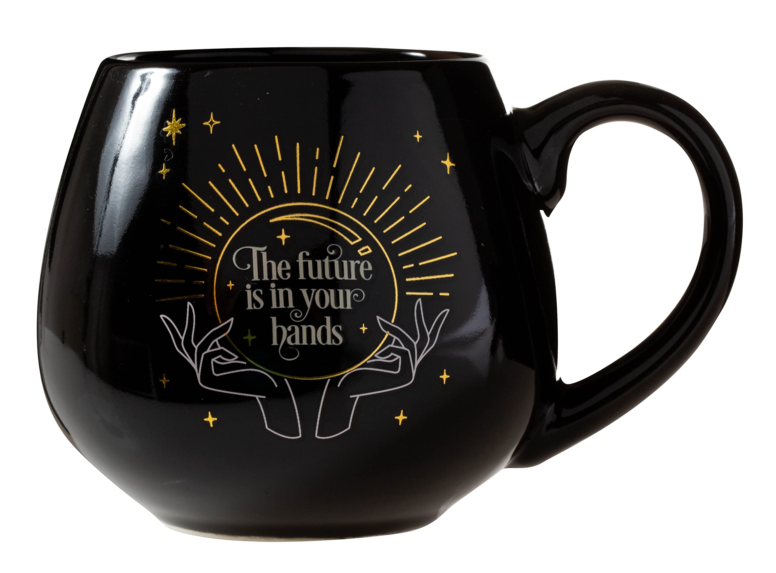 Artisan Owl Black Ceramic Fortune Teller The Future Is In Your Hands Color Changing Mug