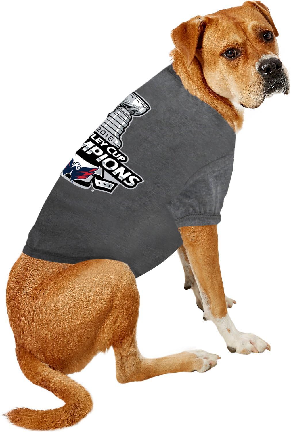 NHL New York Rangers Tee Shirt for Dogs & Cats, Small. - are You a Hockey Fan? Let Your Pet be an NHL Fan Too! : Pet Supplies
