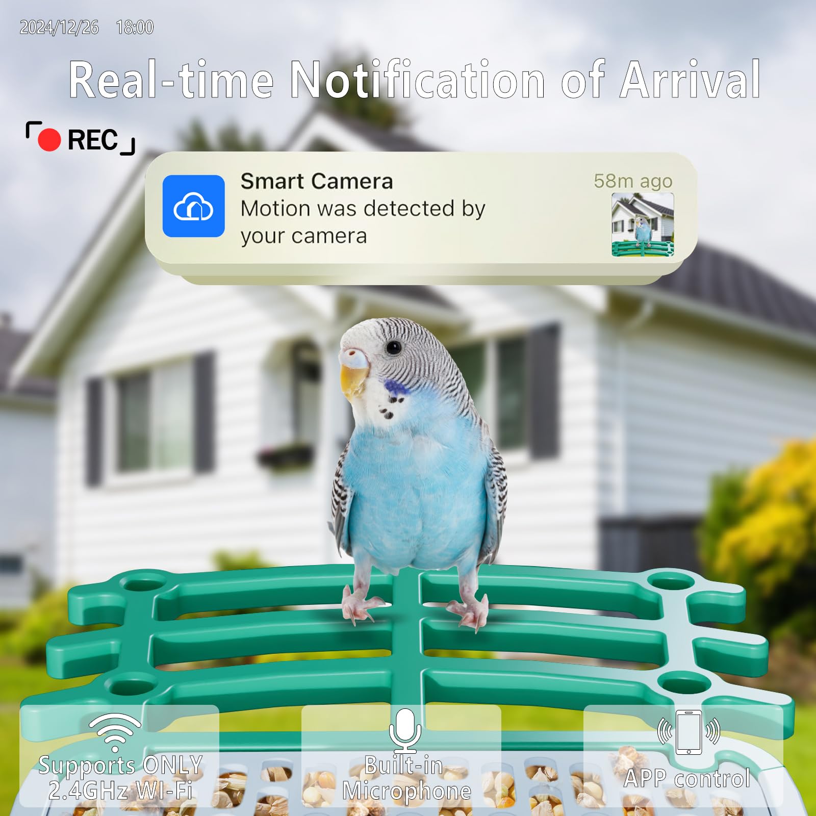 Test De La Mangeoire Intelligente Pour Oiseaux Avec Caméra Et Panneau