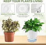 6 Emballage Pots d'auto-arrosage à l'intérieur, 5 Pots de plantes inch, pot de fleurs en plastique blanc, pot d'eau libre pot de fleur en plastique avec trous de drainage et réservoir amovible (12.5CM)