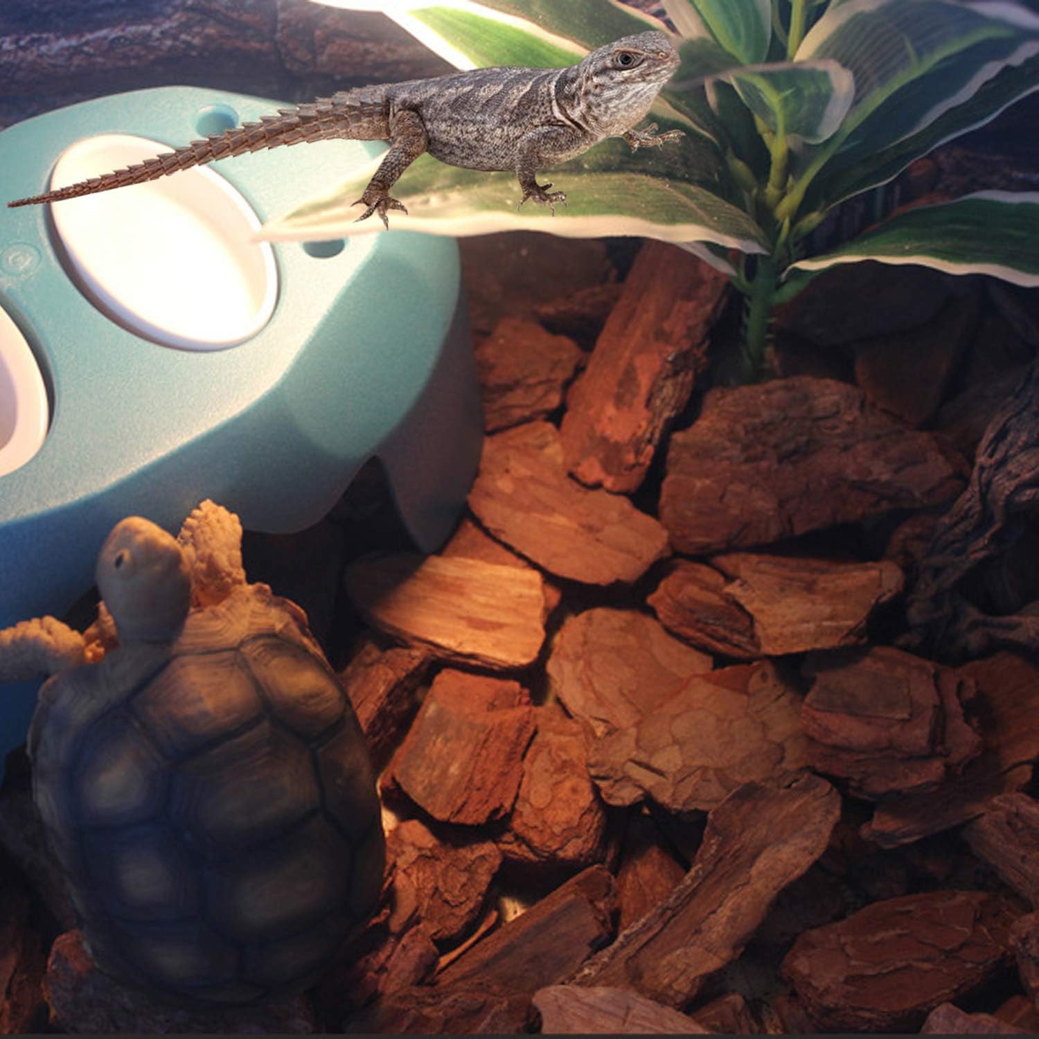 Reptile Hideout Cave Box with 2 Ceramic Sinks Fit for Snakes Lizards Chameleons Tree Frogs Geckos Small Tortoises and Other Small Reptiles (Blue)