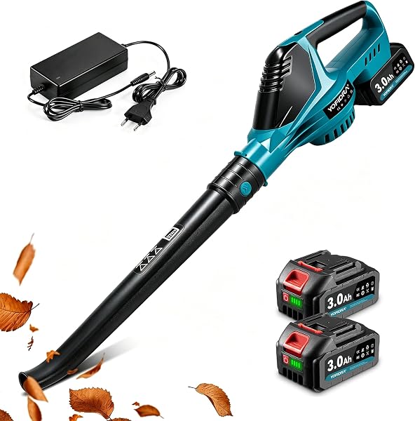 Souffleur de feuilles sans fil 360 km/h, 5 vitesses, 480 m³/h, 2 batteries