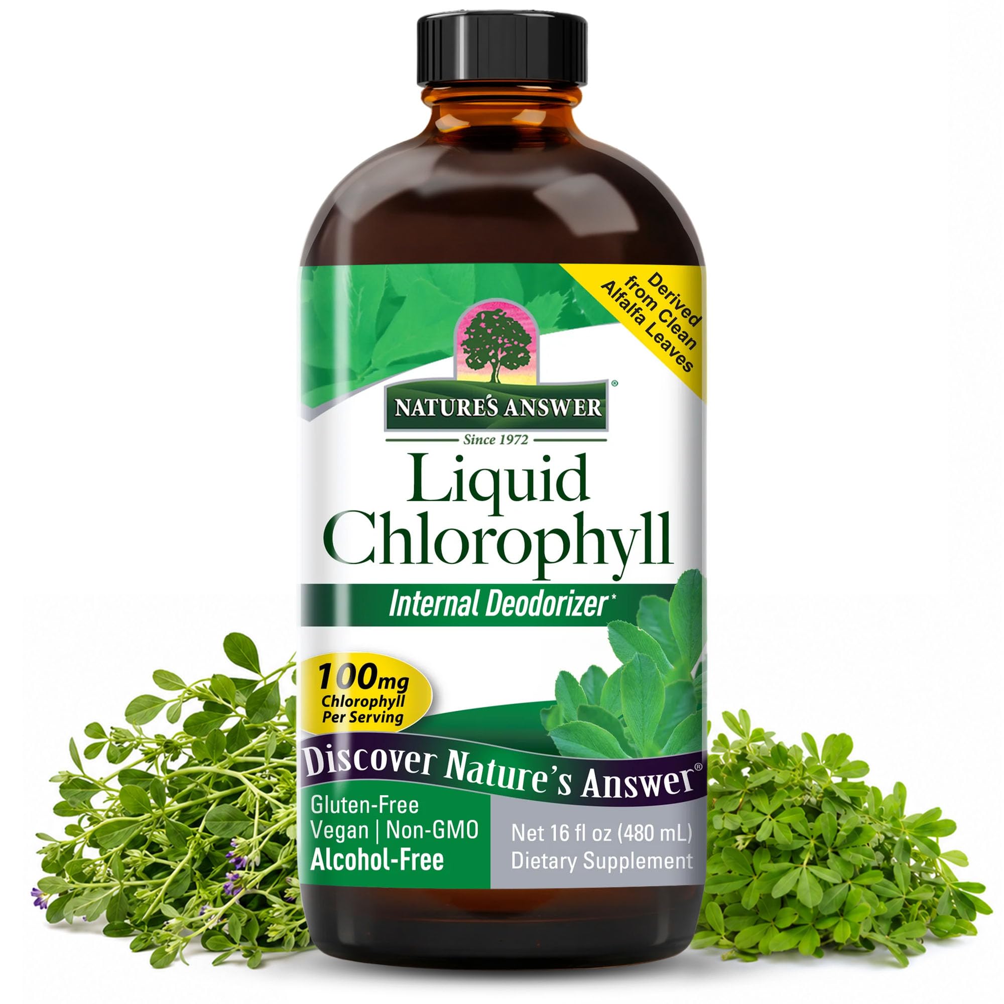 Απάντηση της Φύσης Υγρή Χλωροφύλλη, 100 mg, 16 fl oz (480 ml)