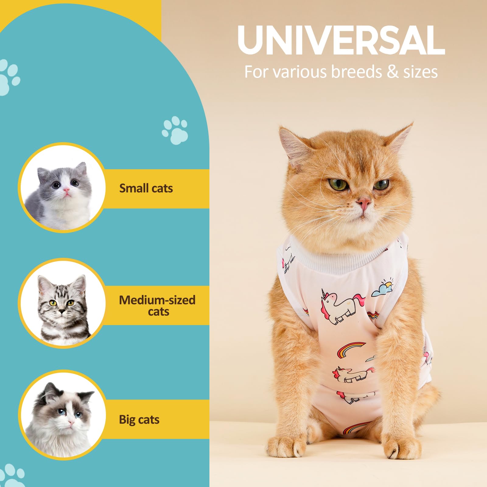 After Surgery Can You Un Neuter A Cat Neuter Recovery Is A Male