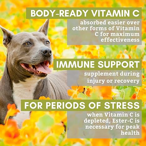 ascorbic acid safe for dogs