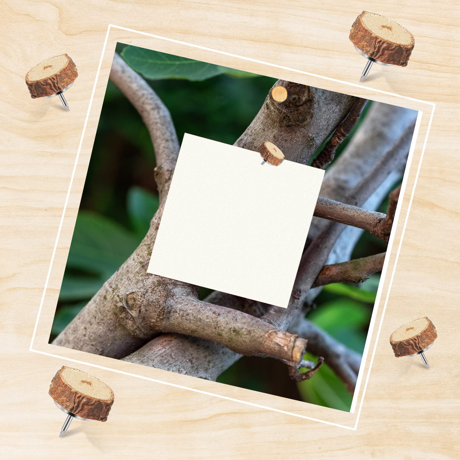 Snapklik.com : 80 Pcs Wood Push Pins, Round Cute Thumb Tacks Decorative ...
